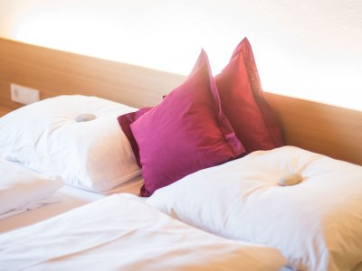 Holiday house Raabenhof - Features photo 9