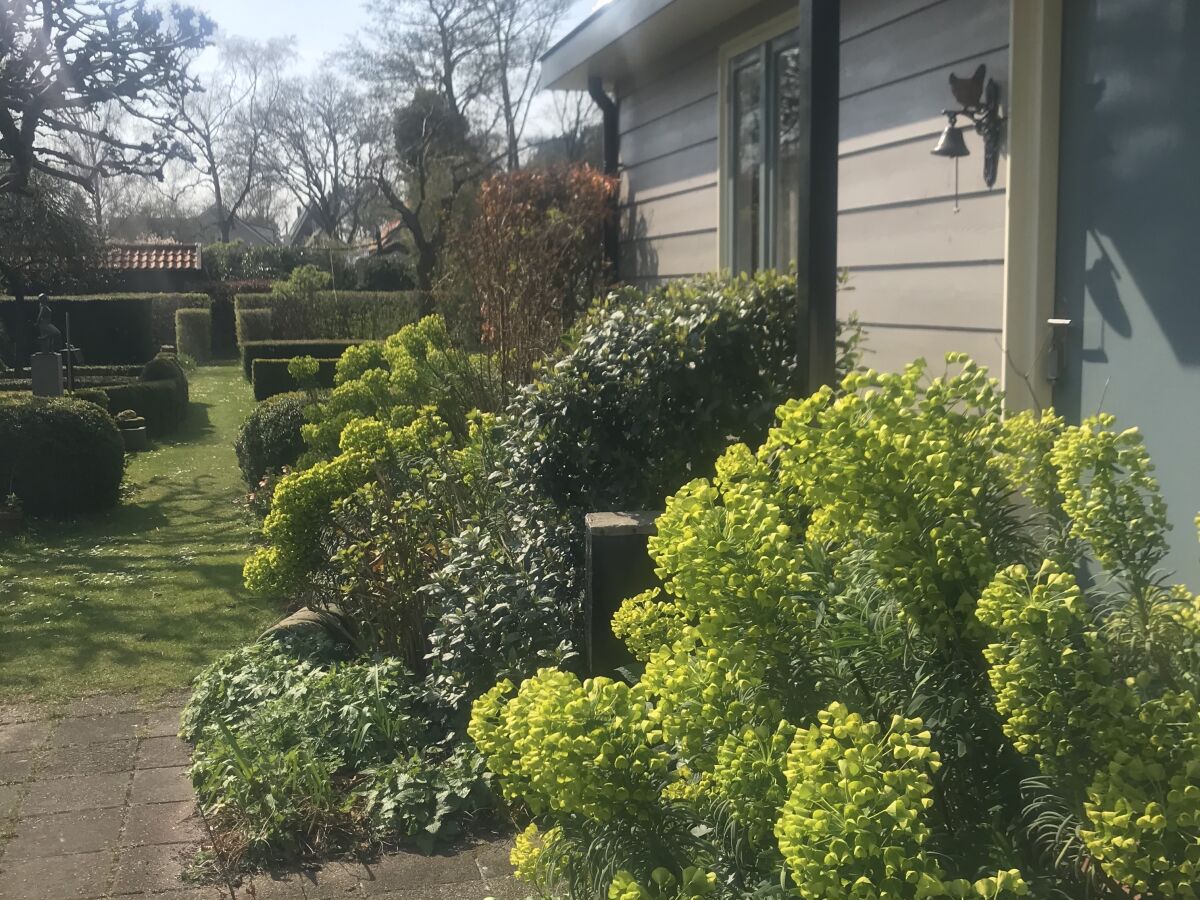 Holiday house Hollands-Beemd - Outdoor photo 5