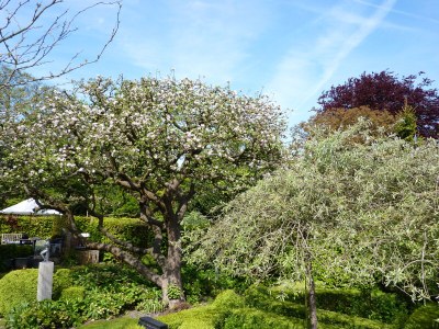 Holiday house Hollands-Beemd - Outdoor photo 9