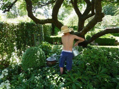 Holiday house Hollands-Beemd - Outdoor photo 10