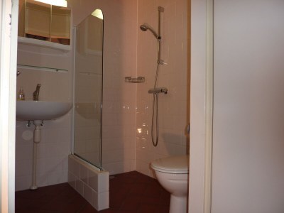 Holiday house Hollands-Beemd - Outdoor photo 14