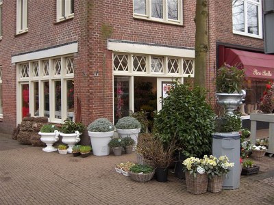 Holiday house Hollands-Beemd - Environment photo 22