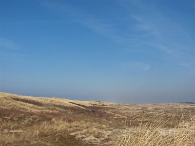 Holiday house Hollands-Beemd - Environment photo 24