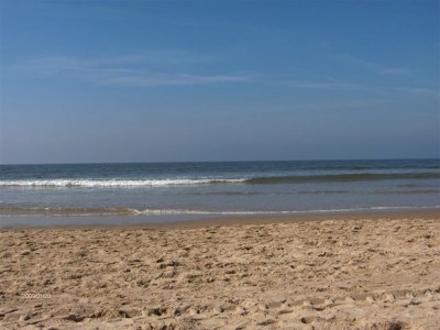 Holiday house Hollands-Beemd - Environment photo 25