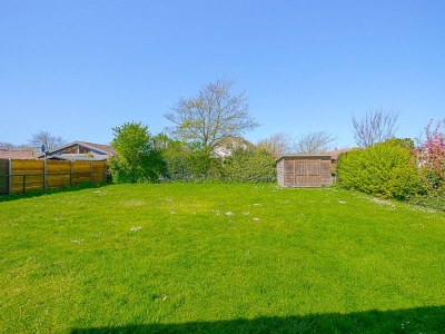 Holiday house Duynloper - Outdoor photo 4