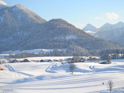 Apartment Nr. 5 Alpenblick - Environment photo 23