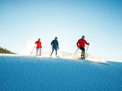 Apartment Nr. 5 Alpenblick - Environment photo 26