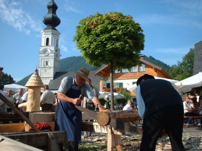 Apartment Nr. 5 Alpenblick - Environment photo 28
