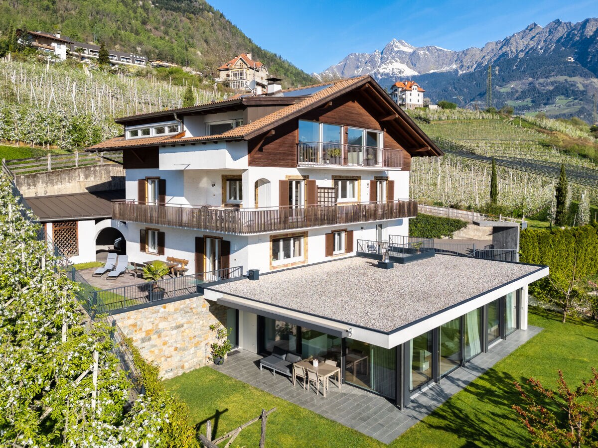 Holiday apartment Freiblick - Outdoor photo 2