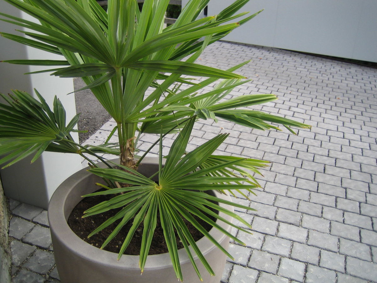 Holiday apartment Freiblick - Outdoor photo 5