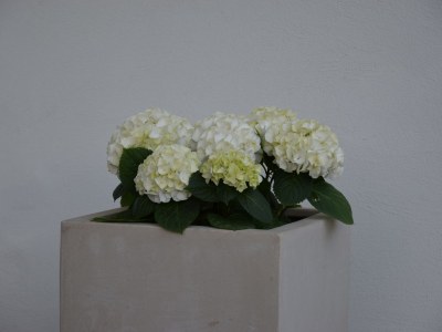 Holiday apartment Freiblick - Outdoor photo 3