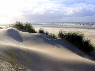 Holiday house Campanula - Environment photo 23