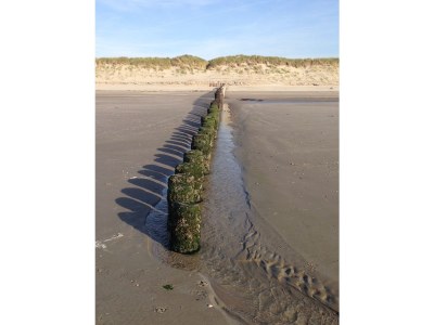 Holiday house Campanula - Environment photo 25