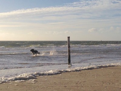 Holiday house Campanula - Environment photo 26