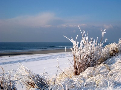 Holiday house Campanula - Environment photo 32