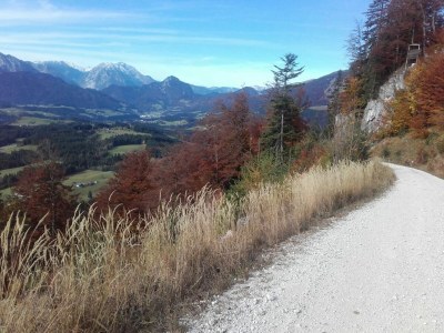 Holiday apartment Zwieselalm at Moosgut - Environment photo 20