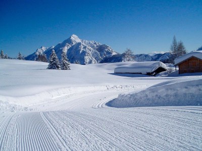 Holiday apartment Zwieselalm at Moosgut - Environment photo 23
