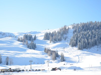 Holiday apartment Zwieselalm at Moosgut - Environment photo 24