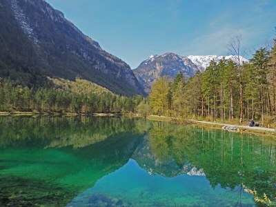 Holiday apartment Zwieselalm at Moosgut - Environment photo 28