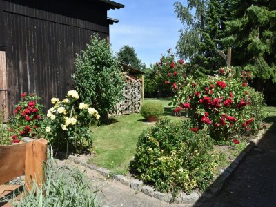 Apartment Einladende Ferienwohnung in Zweedorf mit Grill - Environment photo 31