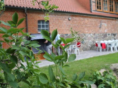 Cottage Gutshaus in Gressow mit Teich - Outdoor photo 40