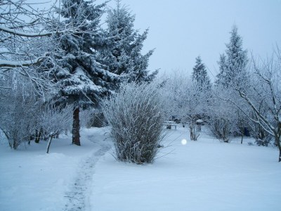 Apartment Landhaus Ferienwohnung in Gorow - Outdoor photo 6