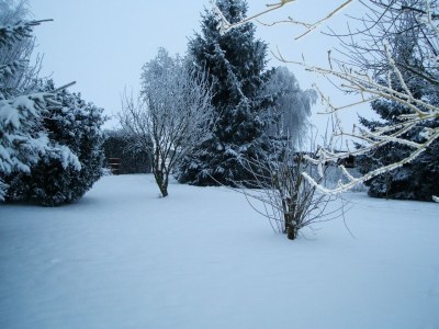 Apartment Landhaus Ferienwohnung in Gorow - Outdoor photo 7