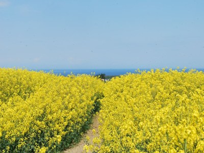 Apartment Wohnung in Neubukow nahe Ostseestrand - Environment photo 30