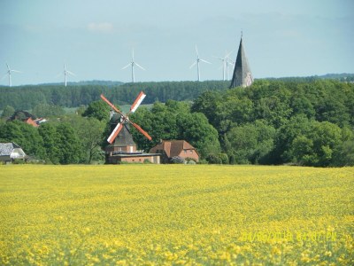Apartment Wohnung in Neubukow nahe Ostseestrand - Environment photo 36