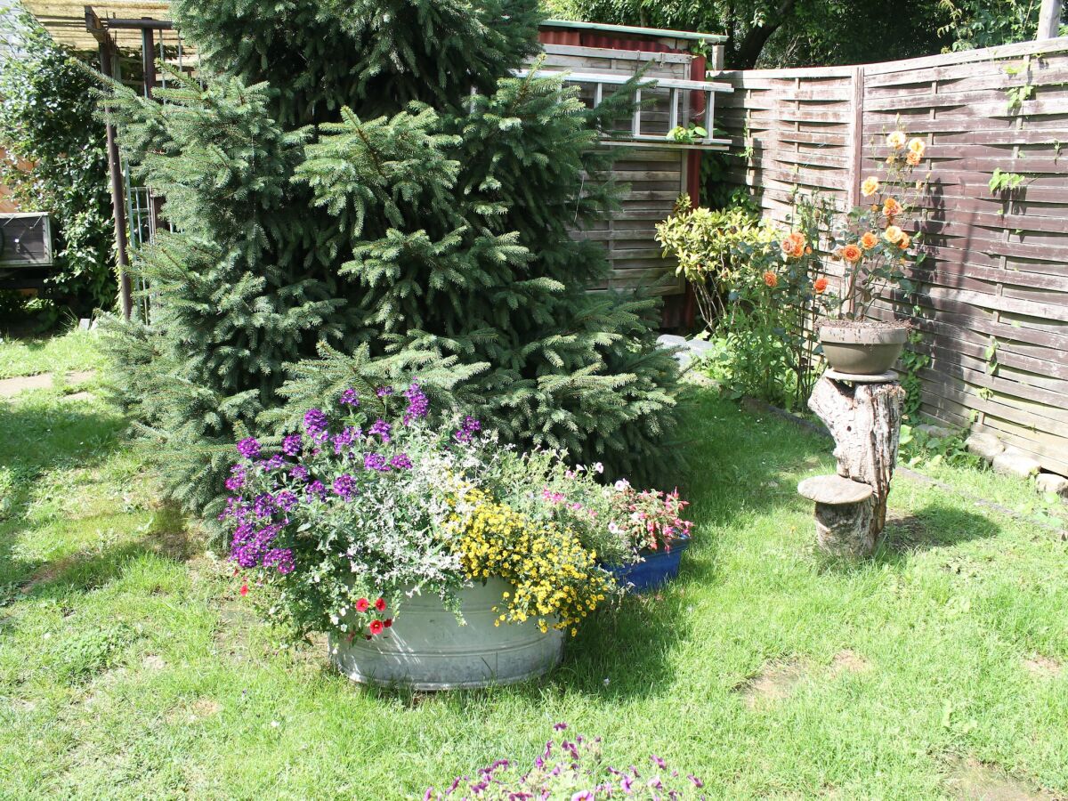 Apartment Wohnung mit eigener Terrasse in Wismar - Outdoor photo 5