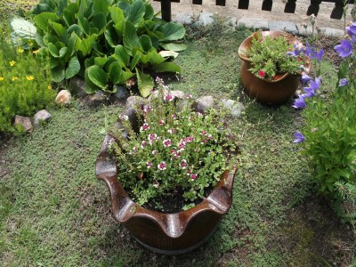 Apartment Wohnung mit eigener Terrasse in Wismar - Outdoor photo 37