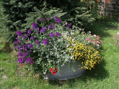 Apartment Wohnung mit eigener Terrasse in Wismar - Outdoor photo 38