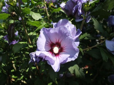 Apartment Wohnung mit eigener Terrasse in Wismar - Outdoor photo 39