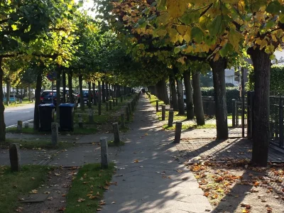 Holiday apartment Strandbad am Mövenstein - Environment photo 19