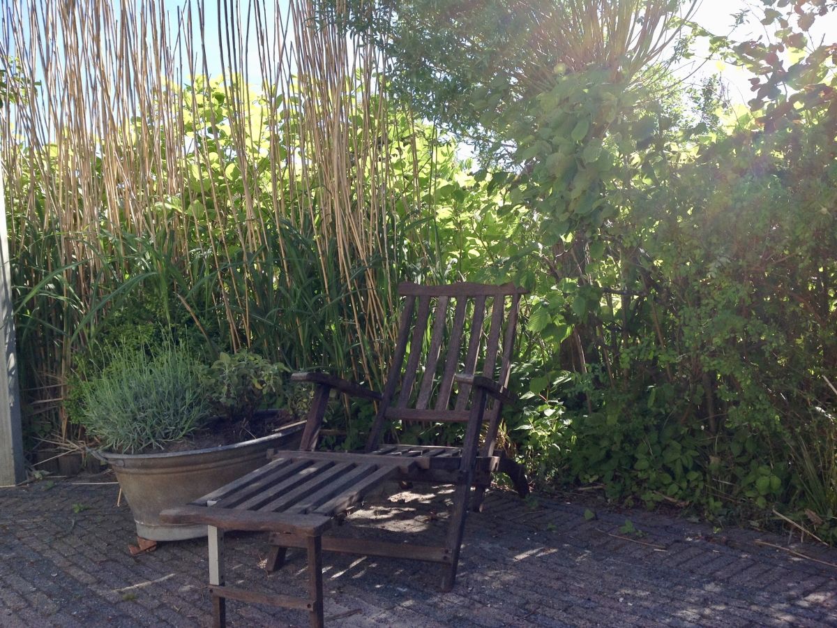 Holiday house Buitenplaats 90 - Outdoor photo 3