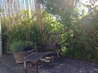 Holiday house Buitenplaats 90 - Outdoor photo 3