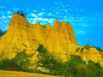 Holiday apartment Agriturismo Il Bellini - Apartment La Cantina - Environment photo 17