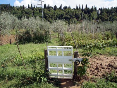 Holiday apartment Agriturismo Il Bellini - Apartment La Cantina - Environment photo 20