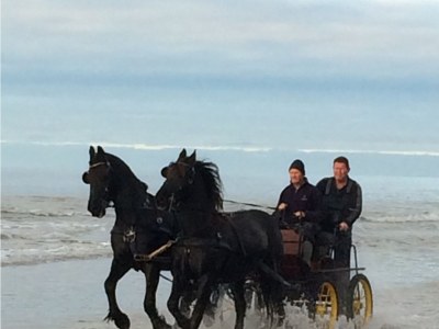 Holiday house Villa Buitenplaats 143 - Environment photo 18