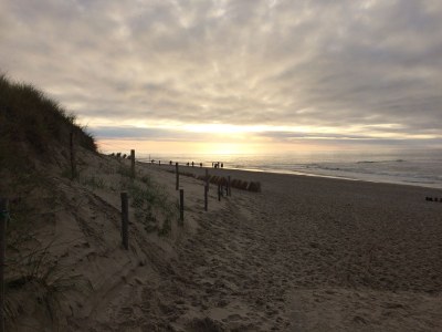 Holiday house Villa Buitenplaats 143 - Environment photo 20