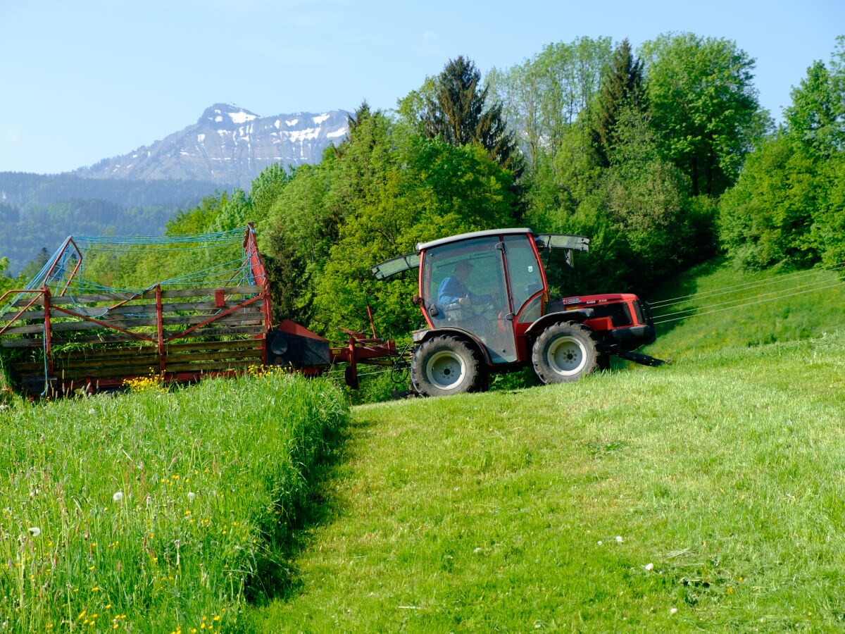 Holiday apartment Hiller - Outdoor photo 5