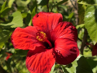 Holiday house 0524 La Gaviota - Outdoor photo 6