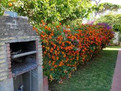 Holiday house 0511 Nuestra Casa - Outdoor photo 7