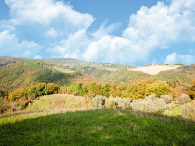 Holiday house Familienlandhaus in der Toskana - Outdoor photo 9