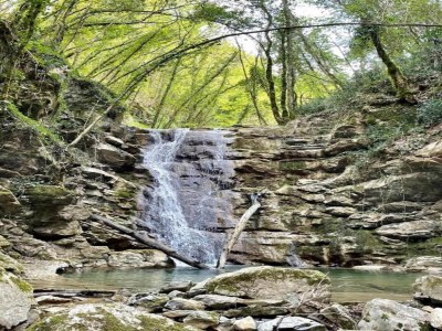 Holiday house Familienlandhaus in der Toskana - Environment photo 26
