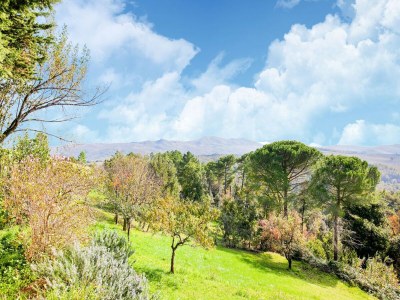 Holiday house Familienlandhaus in der Toskana - Environment photo 27