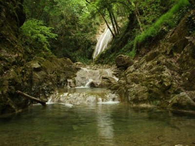 Holiday house Familienlandhaus in der Toskana - Environment photo 28