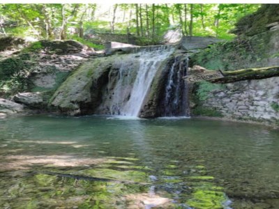 Holiday house Familienlandhaus in der Toskana - Environment photo 32