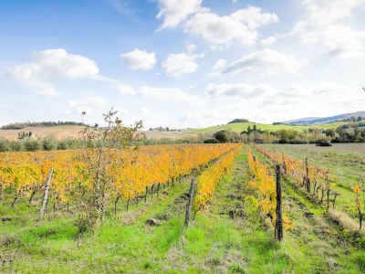 Holiday house Familienlandhaus in der Toskana - Environment photo 35