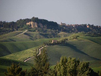 Holiday house Familienlandhaus in der Toskana - Environment photo 36